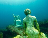 1000 mermaids artificial reef project