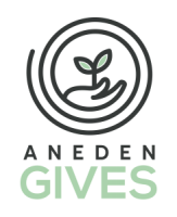 Aneden consulting inc