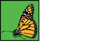 Pizzo & Associates, Ltd.