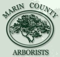 Marin county arborists, inc.