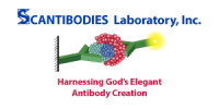 Scantibodies Laboratory, Inc
