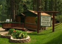 Shady pines