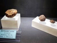 "grigore antipa" national museum of natural history