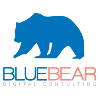 Blue bear media