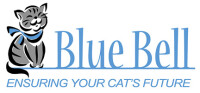 Blue bell foundation for cats