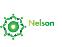 Nelson solutions