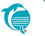 Dolphin Offshore Enterprises(India) Pvt ltd