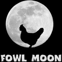 Fowl moon studios corp.