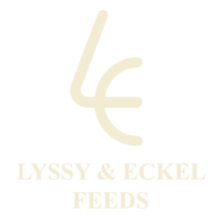 Lyssy & eckel, inc.