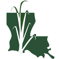 Louisiana sugar cane products, inc.