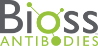Bioss USA Antibodies