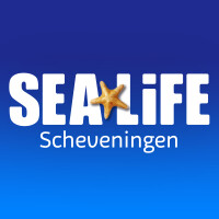 Sea life love