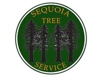 Sequoia tree service inc.