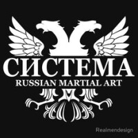 Systema spetsnaz russian martial arts