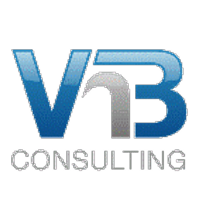 VNB Consulting Services