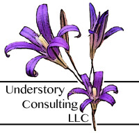 Understory consulting