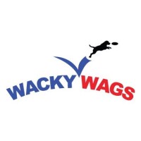 Wacky wags doggie daycare