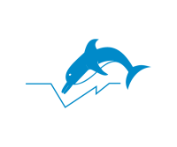 Dolphin marine group