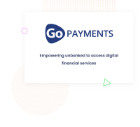 Go payments (instant global paytech pvt. ltd.)