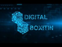 Digital boxitin