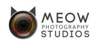Meow studio - india