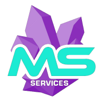 Ms services