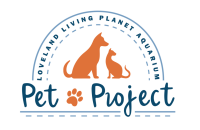 The pet project