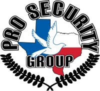 Pro security services