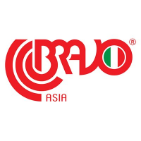 Bravo Asia Limited