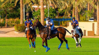 Arabian Ranches Golf Club / Dubai Polo Equestrian Club