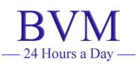 Bvm systems limited