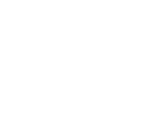 Plastic omnium composites