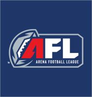 Arena football league