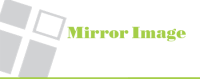Mirror image cleaning services