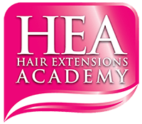 The extension academy