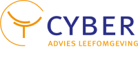 Cyber adviseurs