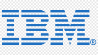 IBM Business Consulting London