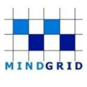 MindGrid Technologies