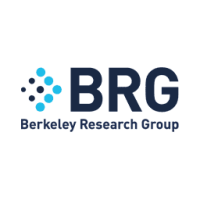 Berkeley Research Group LLC