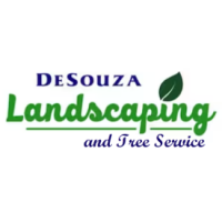 Desouza landscaping inc