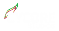 Cycore studios