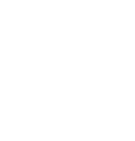 Syncorp consulting